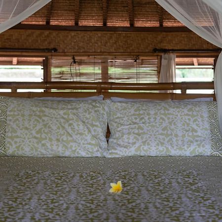 Bali Firefly Bnb Ubud Zimmer foto