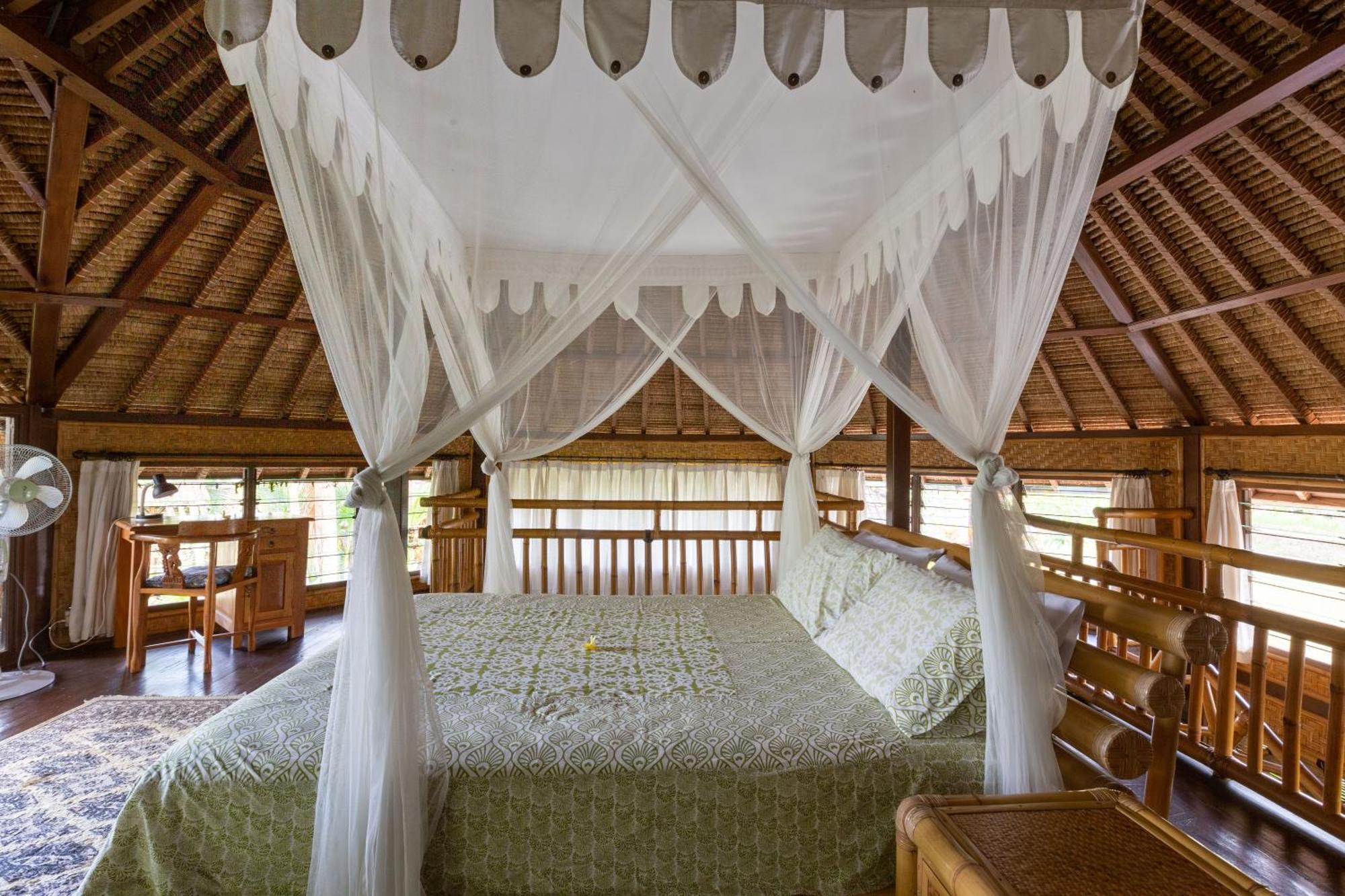 Bali Firefly Bnb Ubud Zimmer foto