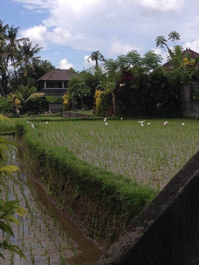 Bali Firefly Bnb Ubud Exterior foto
